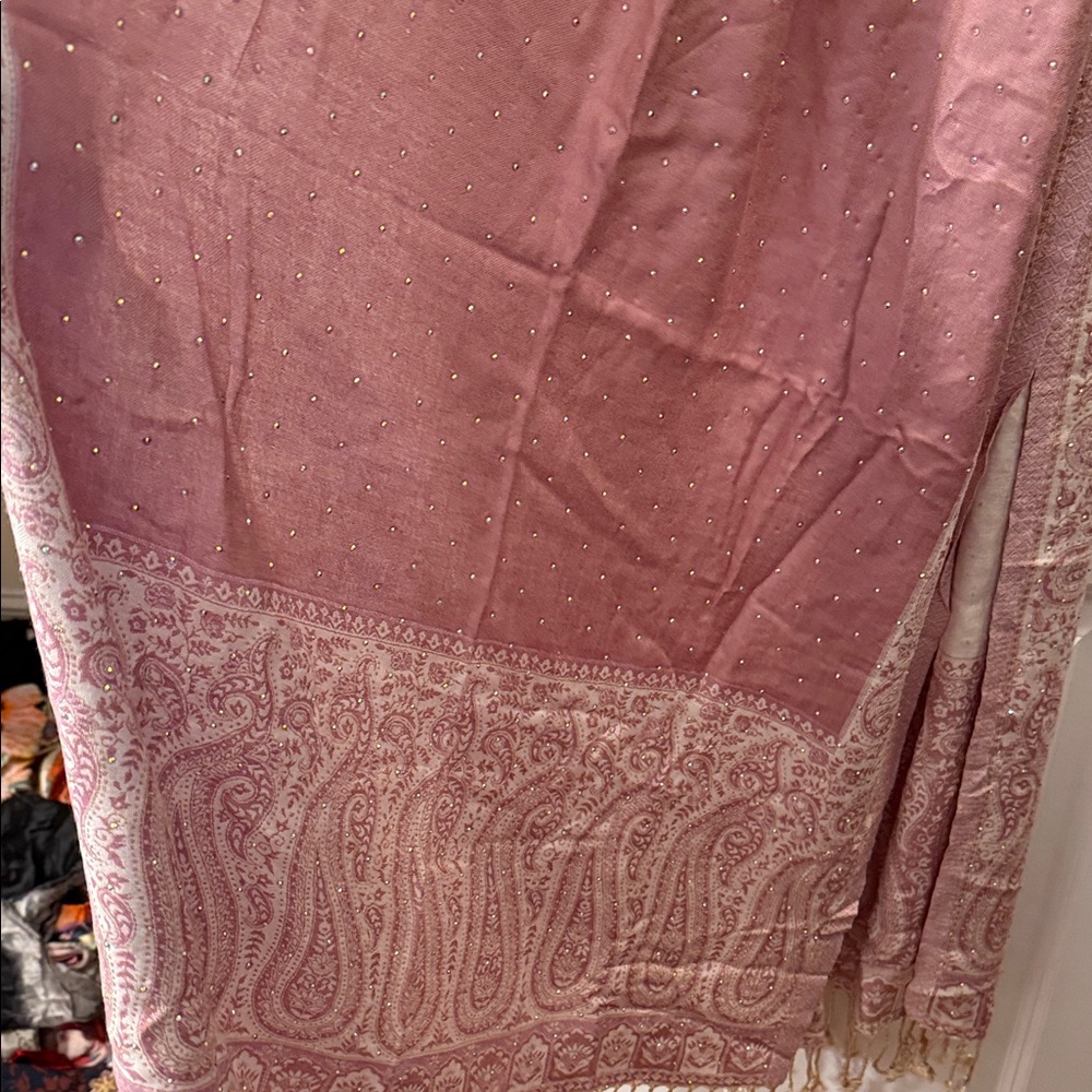 pashmina Pink Embellished Paisley Border Shawl